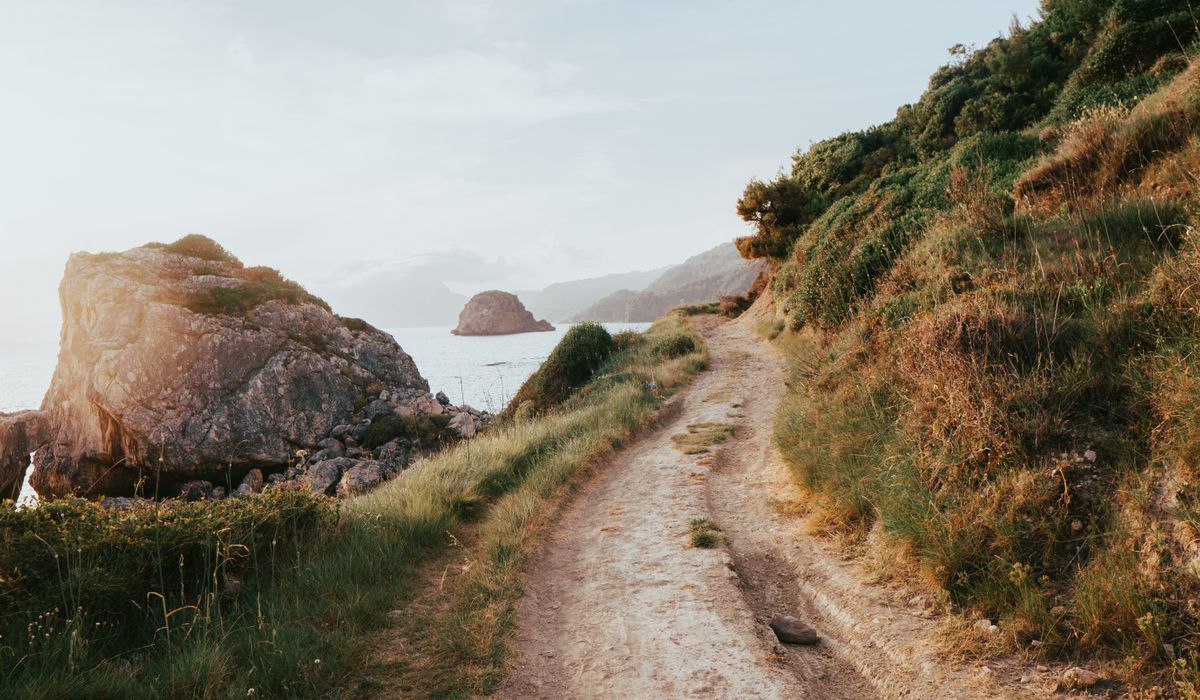 blog single post